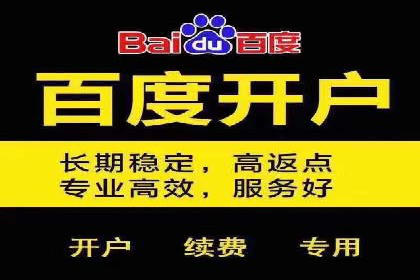 深度解析：某品牌如何通过百度推广提升销售额